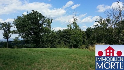 Land- / Forstwirtschaft in 3434 Wilfersdorf