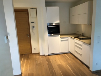 Wohnungen in 5081 Anif