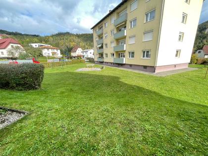 Wohnungen in 8792 Sankt Peter-Freienstein