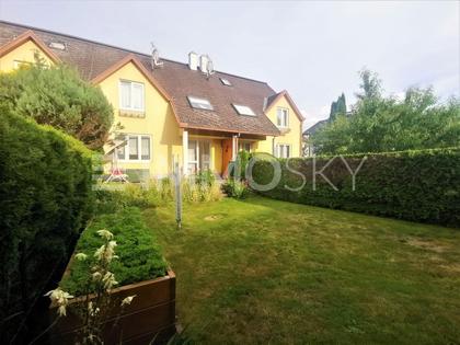 Häuser in 3874 Litschau