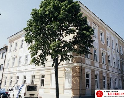 Büros /Praxen in 2320 Schwechat