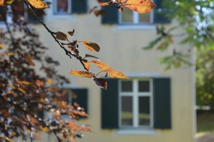 Anlageobjekte in 8280 Fürstenfeld