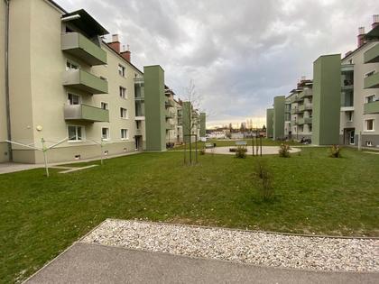 Wohnungen in 4600 Unterschauersberg