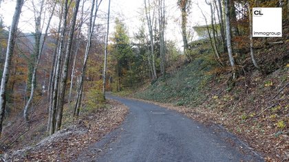 Wohnungen in 4644 Scharnstein