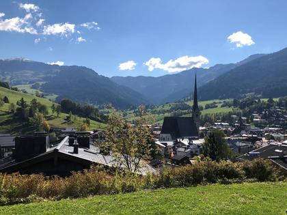 Wohnungen in 5761 Maria Alm am Steinernen Meer