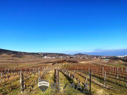 Land- / Forstwirtschaft in 2514 Traiskirchen
