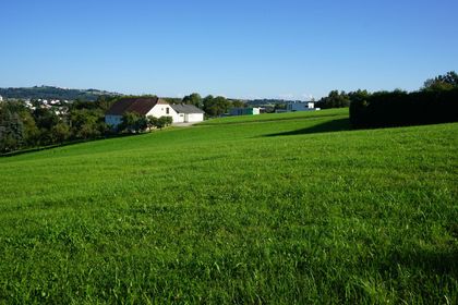 Grundstücke in 4210 Unterweitersdorf