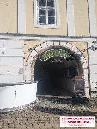 Wohnungen in 2620 Neunkirchen