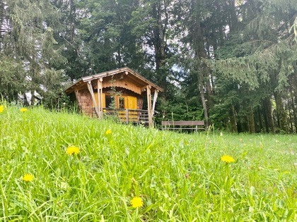 Häuser in 6365 Kirchberg in Tirol