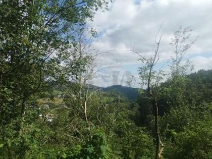 Grundstücke in 4204 Reichenau im Mühlkreis
