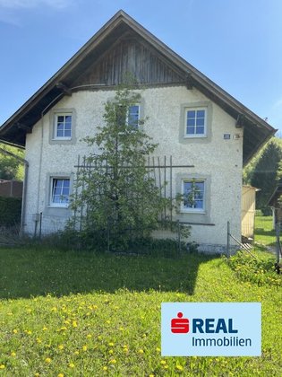 Häuser in 4820 Bad Ischl