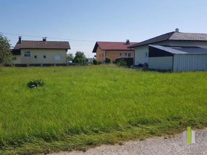 Grundstücke in 5230 Mattighofen