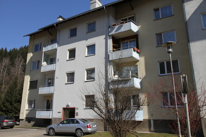 Wohnungen in 8790 Eisenerz