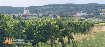 Grundstücke in 7051 Großhöflein