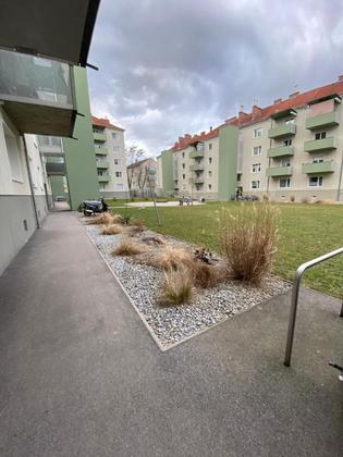 Wohnungen in 4600 Unterschauersberg