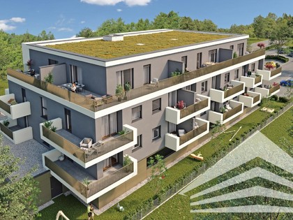 Wohnungen in 4320 Aisthofen