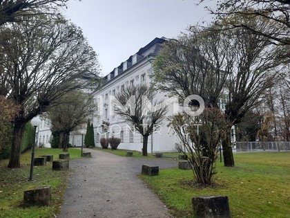 Sonstige in 4600 Thalheim bei Wels