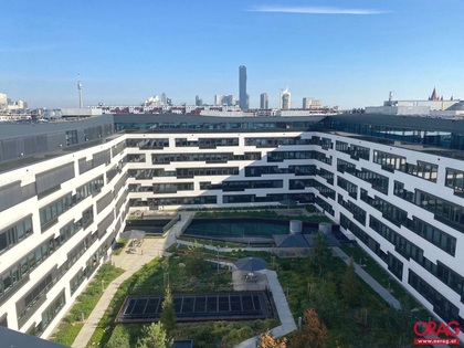 Büros /Praxen in 1020 Wien