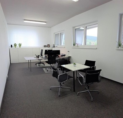 Büros /Praxen in 3040 Neulengbach