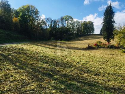 Grundstücke in 4631 Krenglbach