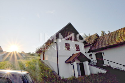 Weinstöckl mit Weinreben und ehemalige Landwirtschaft in ruhiger  Ortsmitte - Sanierungsbedürftig