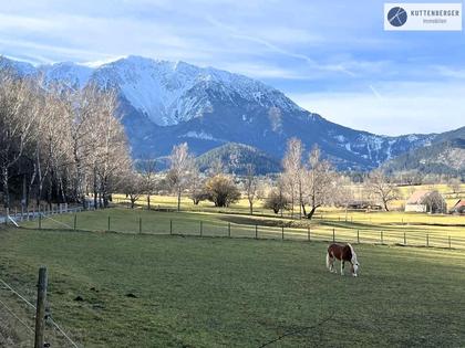 Häuser in 2734 Puchberg am Schneeberg