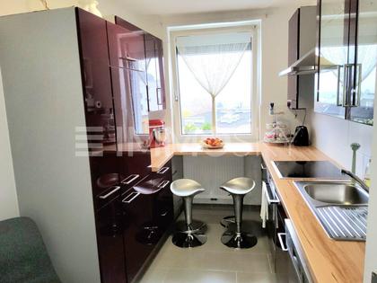 Wohnungen in 4600 Bergerndorf