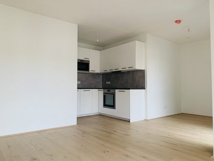 Wohnungen in 1160 Wien