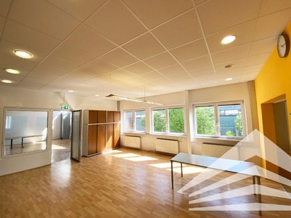 Hallen / Lager / Produktion in 4020 Zaubertal