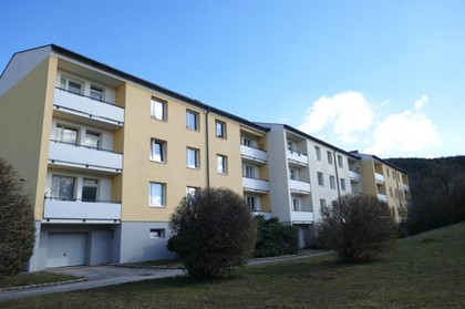 Wohnungen in 2732 Unterhöflein