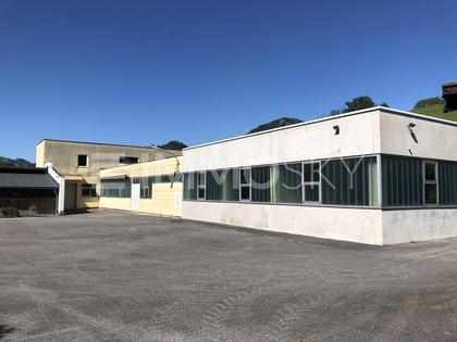 Häuser in 4463 Großraming