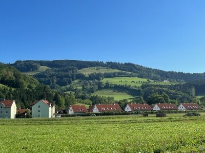 Grundstücke in 3263 Hochkoglberg