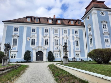 Sonstige in 4600 Wels