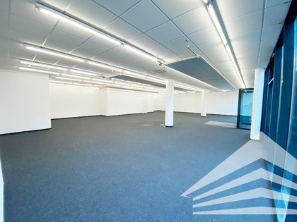 Büros /Praxen in 4040 Kammerschlag