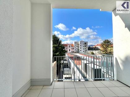 360° TOUR // ERSTBEZUG WOHNUNG / FIRST LETTING ROOF-TOP APARTMENT
