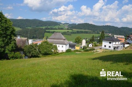 Baugrund mit landw. Grundstück in Peilstein