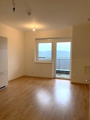 gemütliche 1-Zimmer-Wohnung mit Balkon in Lichtenegg - Top 17