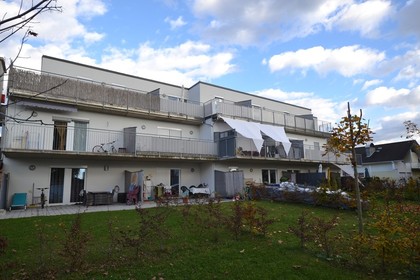 Liebenau - 35m² - sonnige 2 Zimmer-Wohnung mit Terrasse und Parkplatz in herrlicher Ruhelage