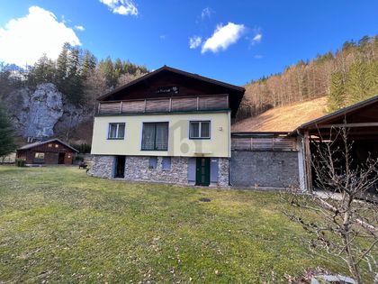 Häuser in 2662 Schwarzau im Gebirge