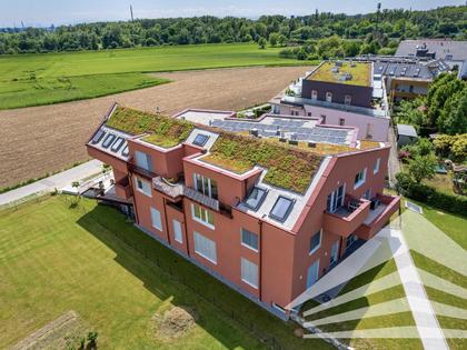 Wohnungen in 4040 Plesching