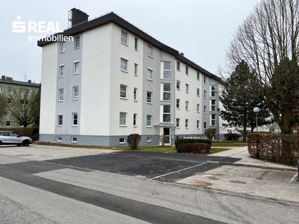 Wohnungen in 3250 Wieselburg-Land