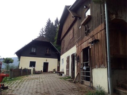 Kleines Bauernhaus mit Bergblick in Kärnten!