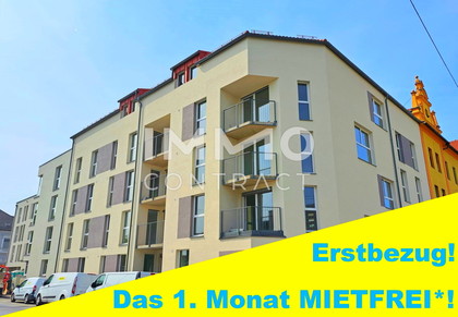 ERSTBEZUG - 1. Monat METFREI* - 3 Zimmer Wohnung mit  großer DACHTERRASSE - Dornschneidergasse 27 - Top 22