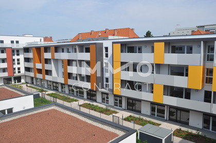 Wohnungen in 3100 Völtendorf