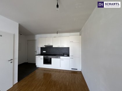 Miet-Wohnung in Innenhoflage bietet genügend Platz auch für 2 Personen - in 8020 Graz