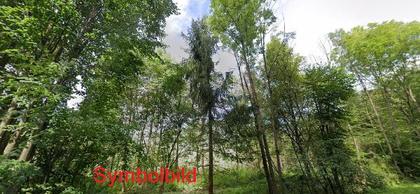 4 Waldparzellen ca. 2 ha, nahe Poggersdorf
