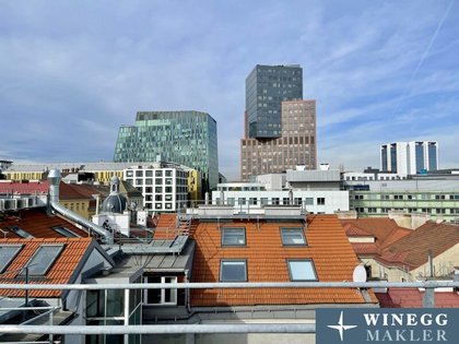 TOPLAGE: Dachterrassenwohnung Nähe Innenstadt!