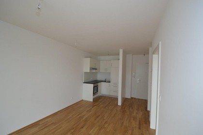 Zentrum - 35 m² - 2 Zimmer - ideale Singlewohnung - 14 m² Balkon
