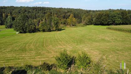 Land- / Forstwirtschaft in 5261 Uttendorf