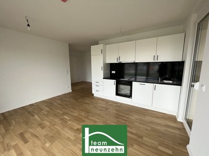 Komfortable Wohnung nahe SCS: 2 Zimmer mit Freifläche und Einbauküche in Wiener Neudorf - ab 01.08.2024 beziehbar. - WOHNTRAUM